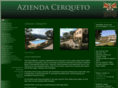 azienda-cerqueto.com