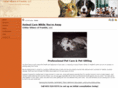 crittersittersoffranklin.com