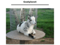 goatplanet.com