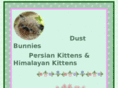himalayan-kitties.com