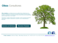 oikosconsultores.com