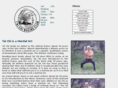 taichiboxing.com