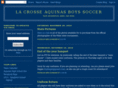 blugoldsoccer.com