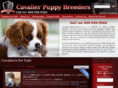 cavalierpuppybreeders.com