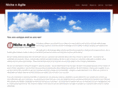 nichenagile.com