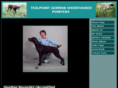 tealpointgsps.com