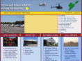 put-in-bayairport.com
