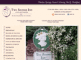 twosisinn.com