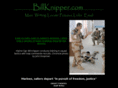 billknipper.com