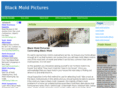 blackmoldpictures.org