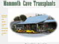 mammothcavetransplants.com
