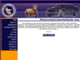 sonomacountymustangclub.com