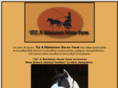 tizminihorses.com