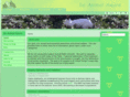 beanimalaware.com