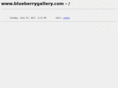 blueberrygallery.com