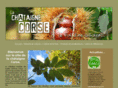chataigne-corse.com