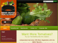 deeprootwatering.com