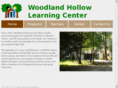 woodlandhollow.com