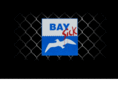 bayzix.com