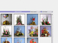 camsblumen.com
