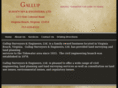 gallupsurveyors.com