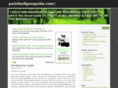 paintballgunguide.com