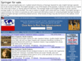 springerforsale.com