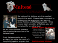 maltesefluffs.com