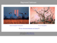 raymondgehman.com