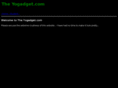 theyogadget.com