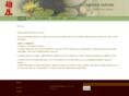 andreacarioni.com