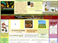 ecofriendlycalendars.com