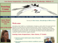 neacupoint.com
