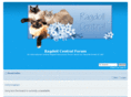 ragdollcentral.com