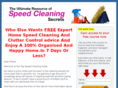 topspeedcleaning.com