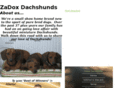 zadoxdachshunds.com