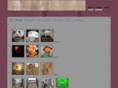 akio1.com