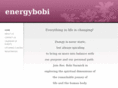 energybobi.com