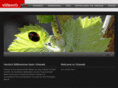 vitisweb.com