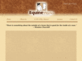 equineworks.com