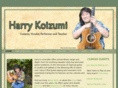 harrykoizumi.com