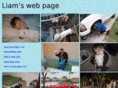 liambutterfield.com