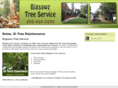 bigsawztreeservice.com