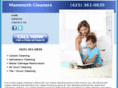 carpetcleaningedmonds.com