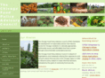chicagofoodpolicy.org