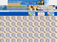 onlinecompanyads.com