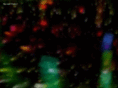 doesismagic.net