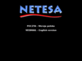 netesa.com