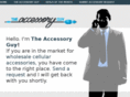 theaccessoryguy.com