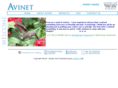 avinetinc.org